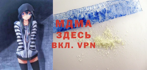 шишки Надым