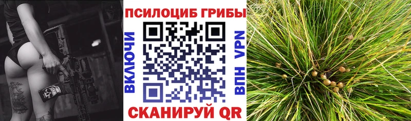 Галлюциногенные грибы прущие грибы Ялта